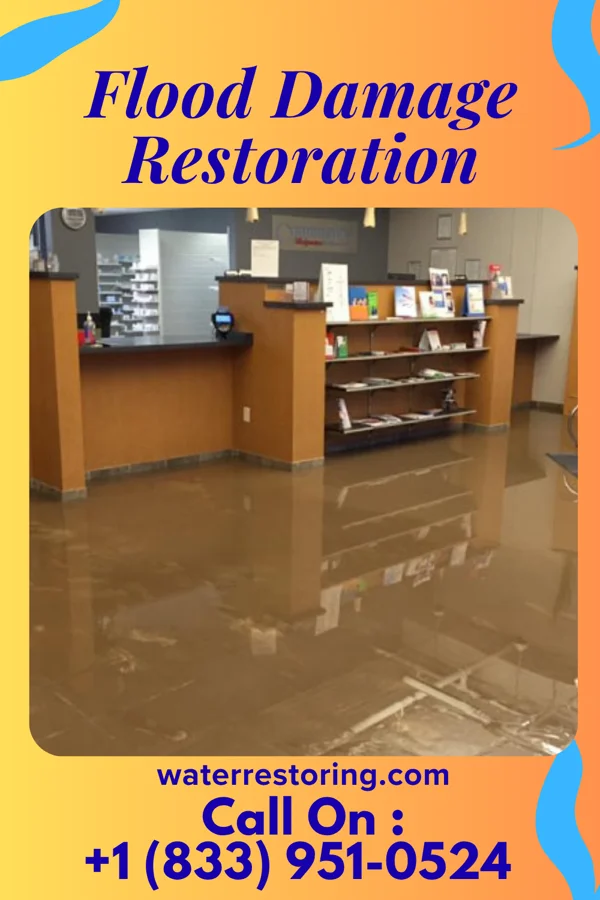 Flood Damage Restoration in Altamont, TN