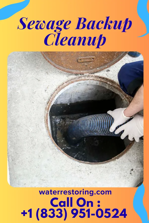 Sewage Backup Cleanup in Altamont, TN